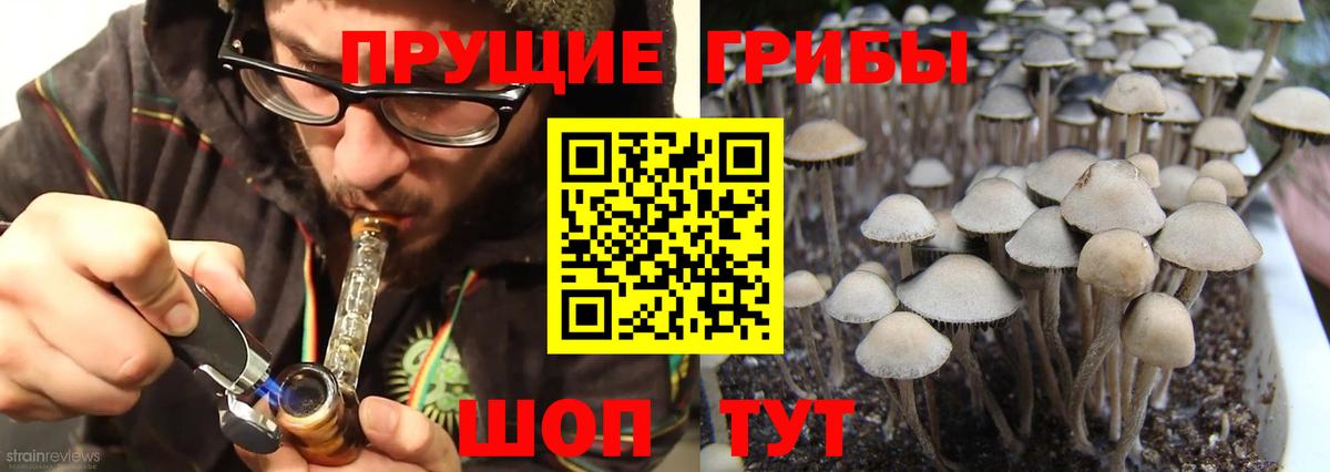 Галлюциногенные грибы Cubensis  Вход с VPN  Кунгур  Галлюциногенные грибы Psilocybe 