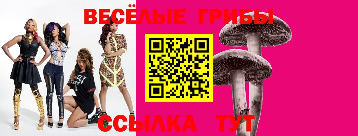 Псилоцибиновые грибы MAGIC MUSHROOMS Кунгур